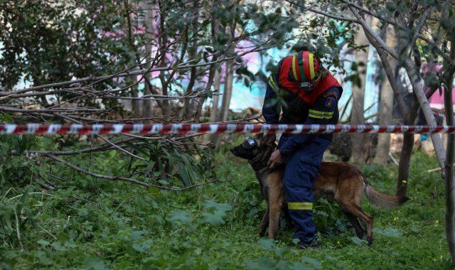 Πιερία: Τον αναζητούσαν επί 3 ημέρες, εμφανίστηκε τη νύχτα και… ζήτησε μια μπύρα!