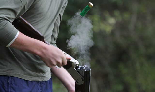 Σέρρες: Λαθροθήρες σκότωσαν ζαρκάδια στη Σιντική Σερρών – Δύο συλλήψεις και πρόστιμα