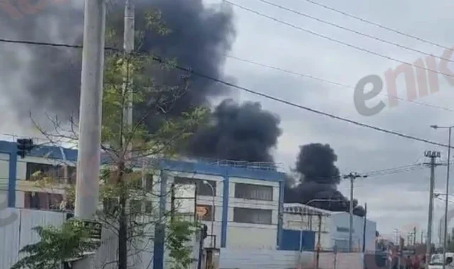 Νέα Μεγάλη Φωτιά στην Αττική (ΒΙΝΤΕΟ)