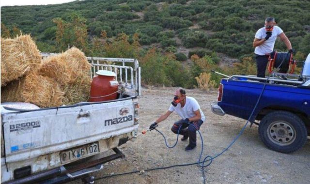 Σέρρες: Υποχρεωτική απολύμανση για όλα τα οχήματα Κτηνοτροφίας- Πέντε Σταθμοί στην Περιφερειακή Ενότητα Σερρών