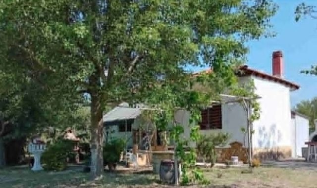 Σέρρες: Πωλείται κτήμα έκτασης 3.150 τ.μ., με αγροικία 46 τ.μ., με αποθήκη και φωτοβολταϊκό – Τιμή: €35.000 (ΦΩΤΟ)