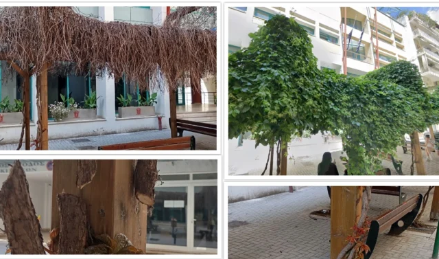 Σέρρες: Θερμά Συγχαρητήρια για τον Νέο «Κρανίου Τόπο» έξω από τη Βιβλιοθήκη! (ΦΩΤΟΓΡΑΦΙΕΣ)