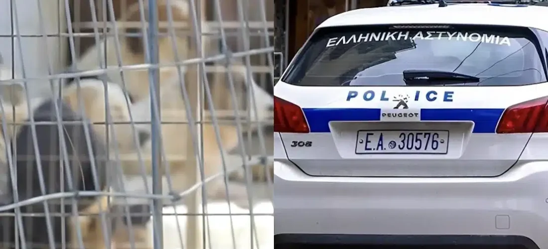 54χρονη